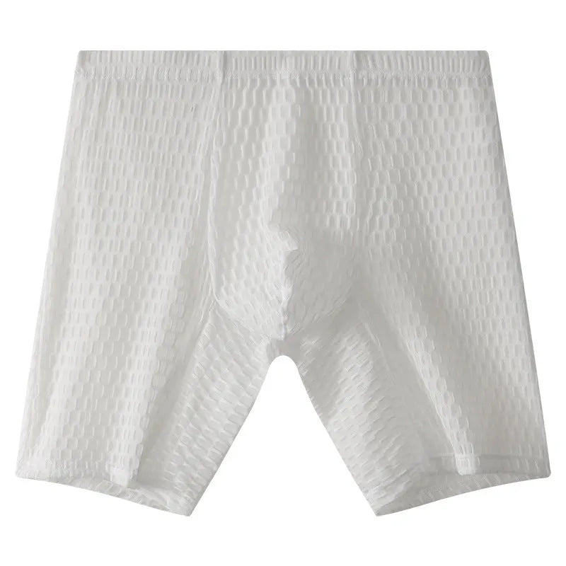Transparent lace men's boxers in multiple colours with mid waist fit and lengthened design