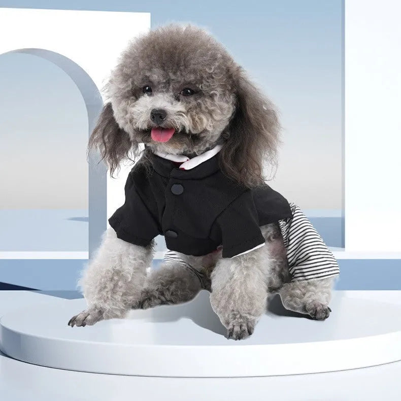 Seasonal poodle clothes in cotton skirt or four-legged pants styles available in sizes S to XL
