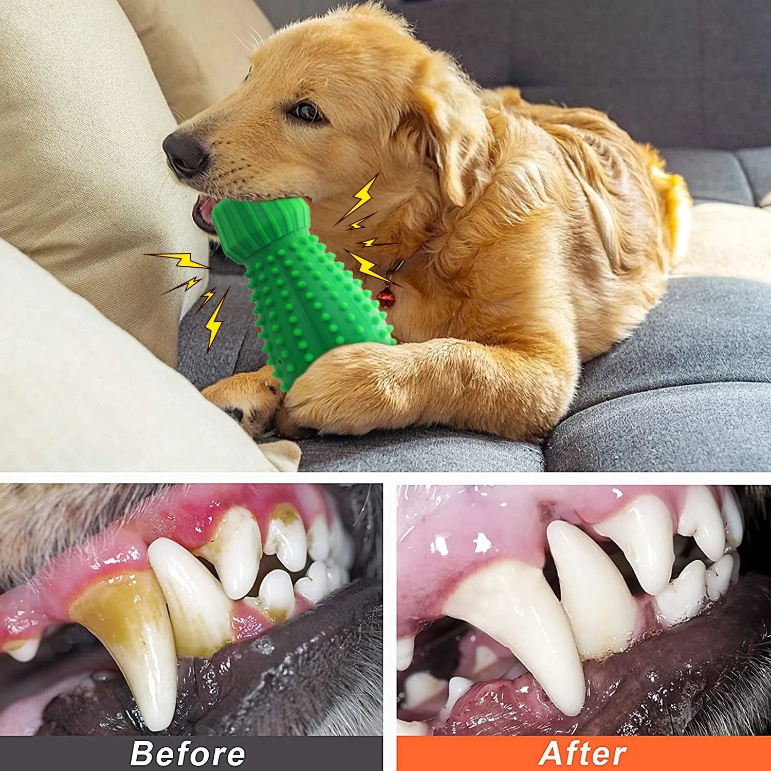 Food grade rubber dog sound toy styled as a cactus for medium and large dogs
