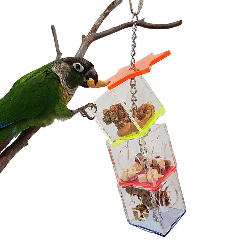 Transparent acrylic parrot foraging toy measuring 5x5x32cm for food containment