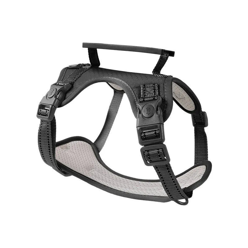 Polyester dog chest harness with attached leash in assorted colours on a white background.