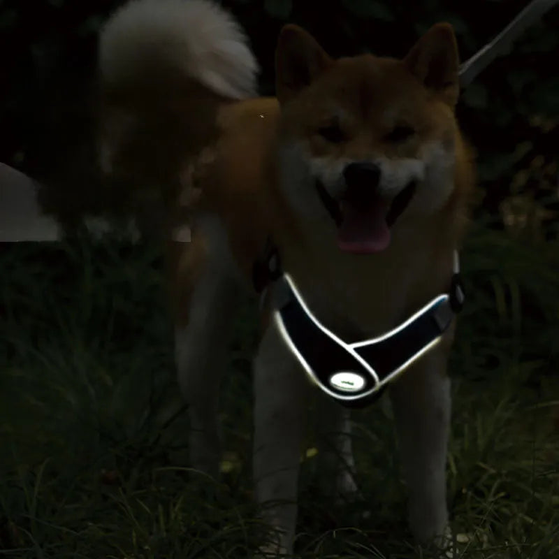 Green adjustable mesh dog harness with reflective strips and a metal D-ring on a dog.