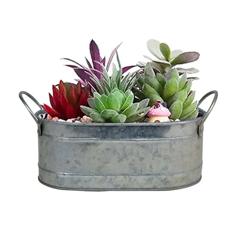 Iron desktop flowerpot for succulents and cacti with metallic finish