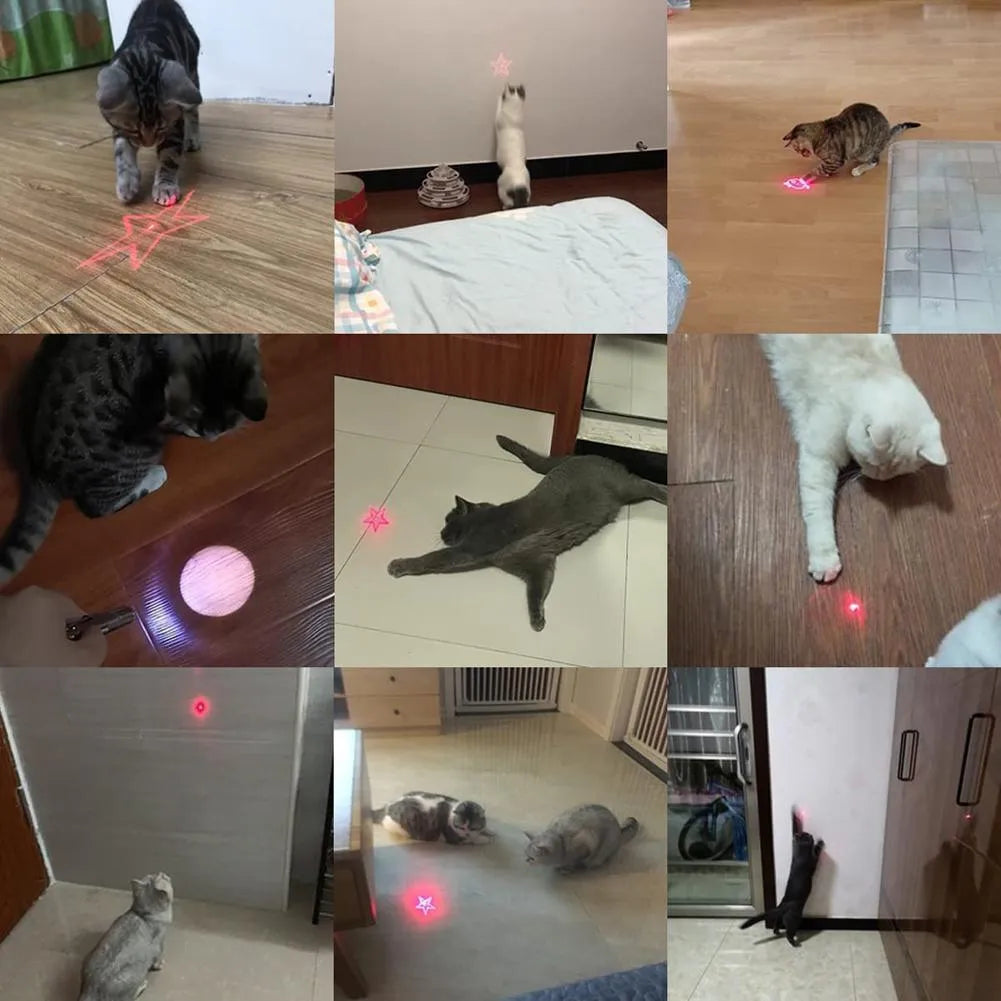 USB rechargeable infrared teaser toy for cats with keychain light function in black or pink