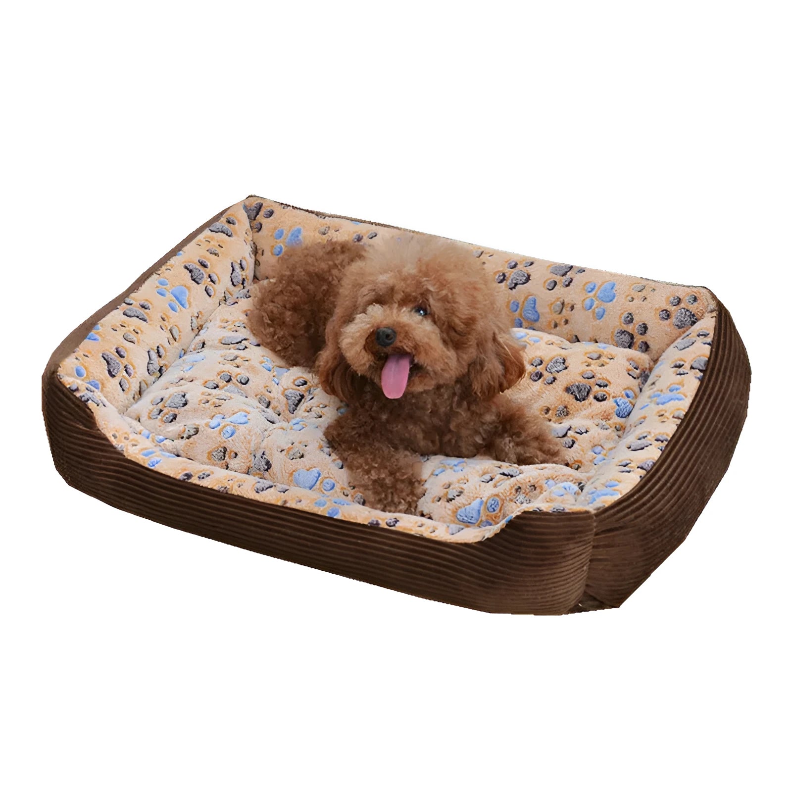 Soft plush dog bed with raised sofa edge in beige colour for small pets