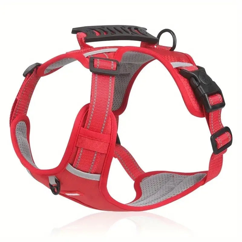 Polyester dog chest harness with attached leash in assorted colours on a white background.