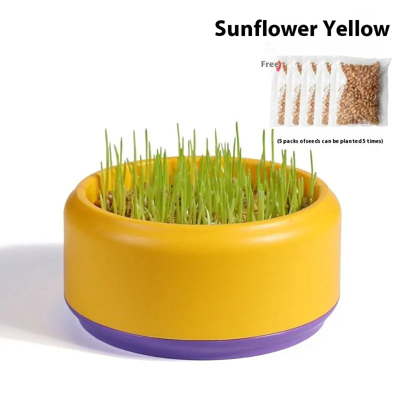 Hydroponic cat grass kit with plastic growing cup and five seed packs for soilless indoor pet grass cultivation
