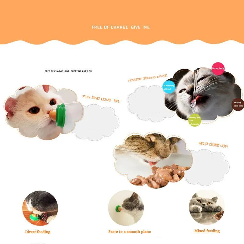 Green and blue cat energy ball lick toy with non-toxic catnip and yellowfish gelatin for indoor cats