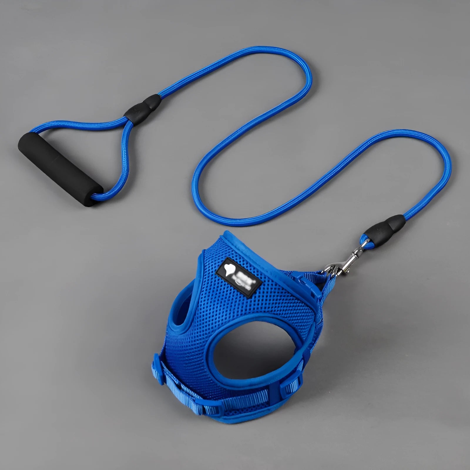 Blue dog leash and collar set with foam handle for small dogs up to 10kg