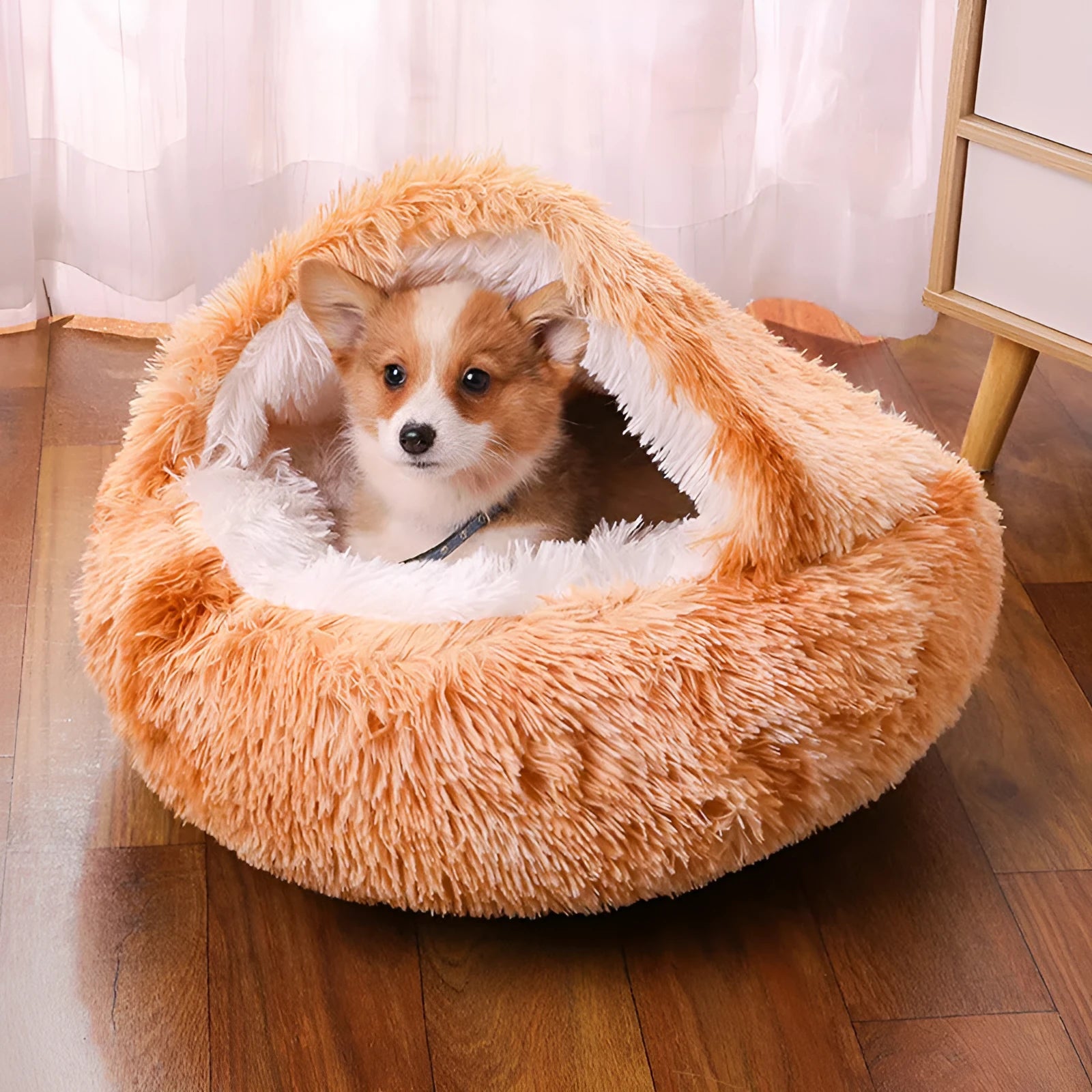 Waterproof dog kennel with semi-surrounded design in champagne colour showing sheltered interior space
