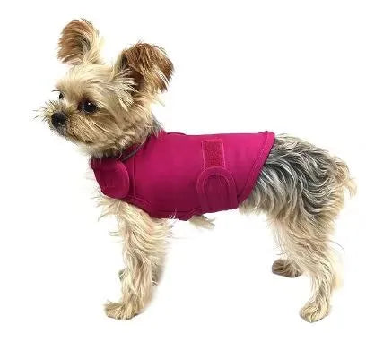 Dog wearing brown brocade cotton tank top designed for separation anxiety relief