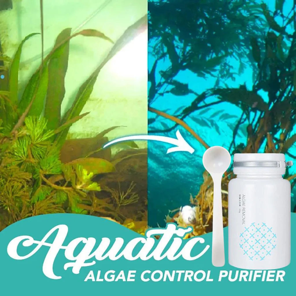 50g net content algaecide pack for swimming pool and aquarium algae control