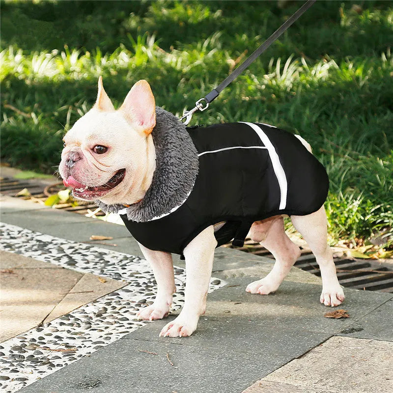 Thick warm dog vest in black waterproof nylon with reflective strips