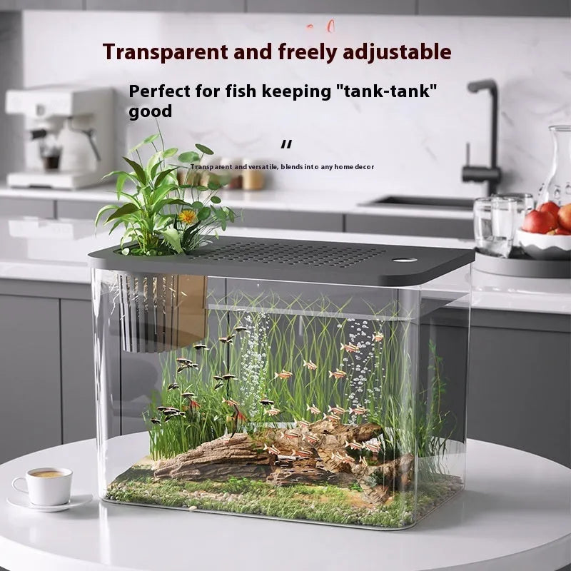 Plastic betta fish tank with cover in medium 32cm size for living room use