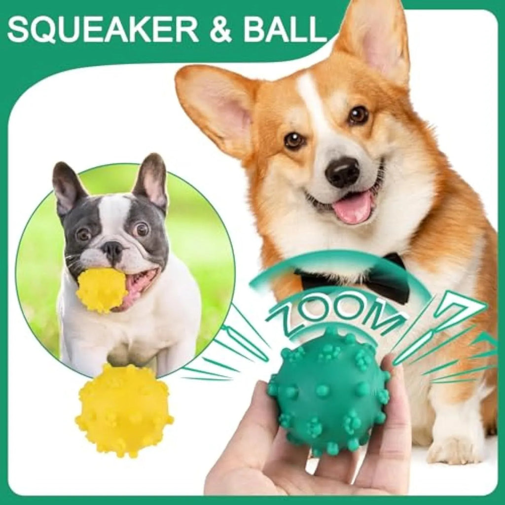 Bright coloured spiky dog toy balls for small puppies with squeaky features