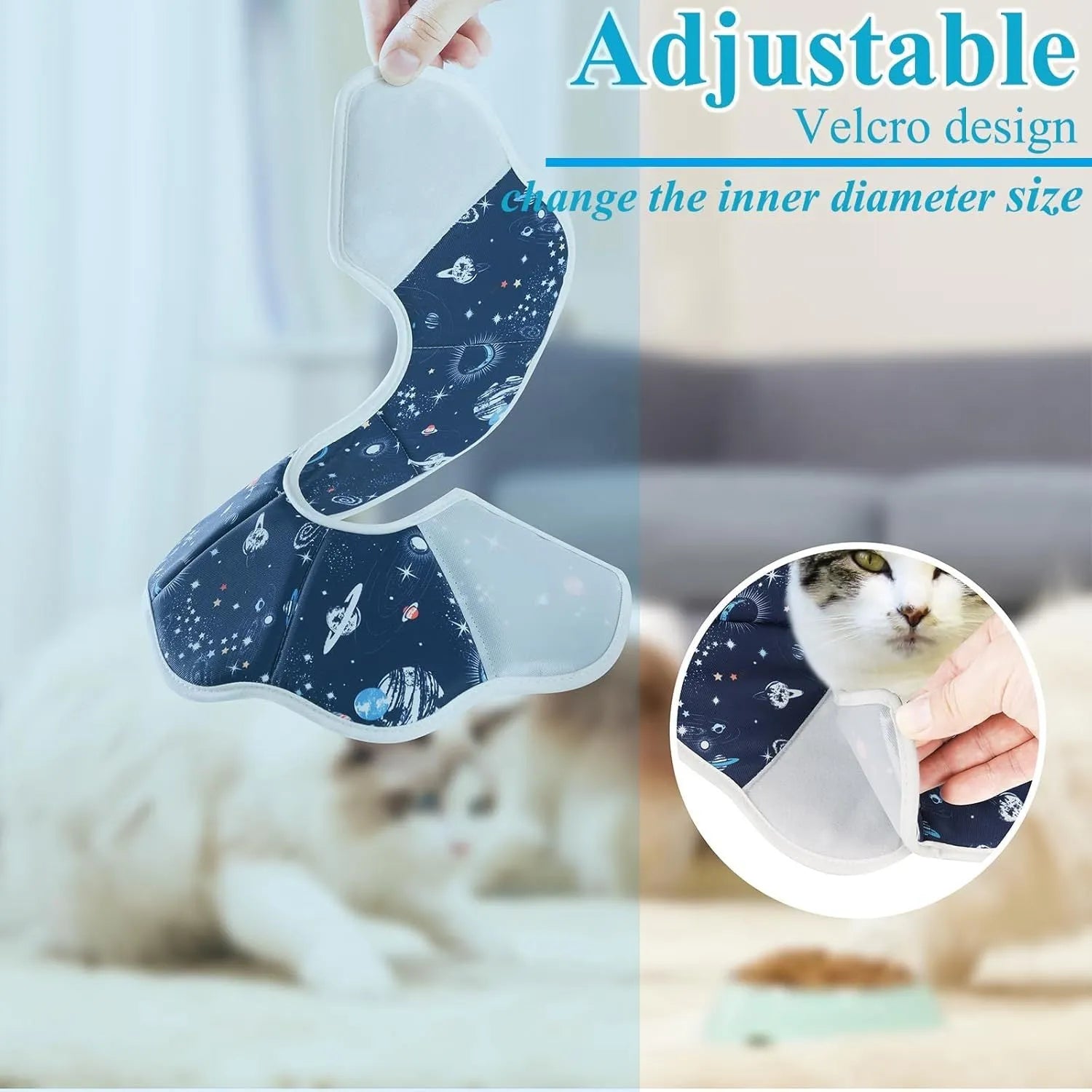 Soft adjustable cat recovery cone collar in constellation pattern on a small cat