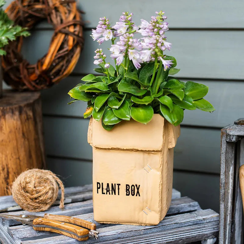 Cement flowerpot with bottom perforation in Nordic style for indoor balcony planting