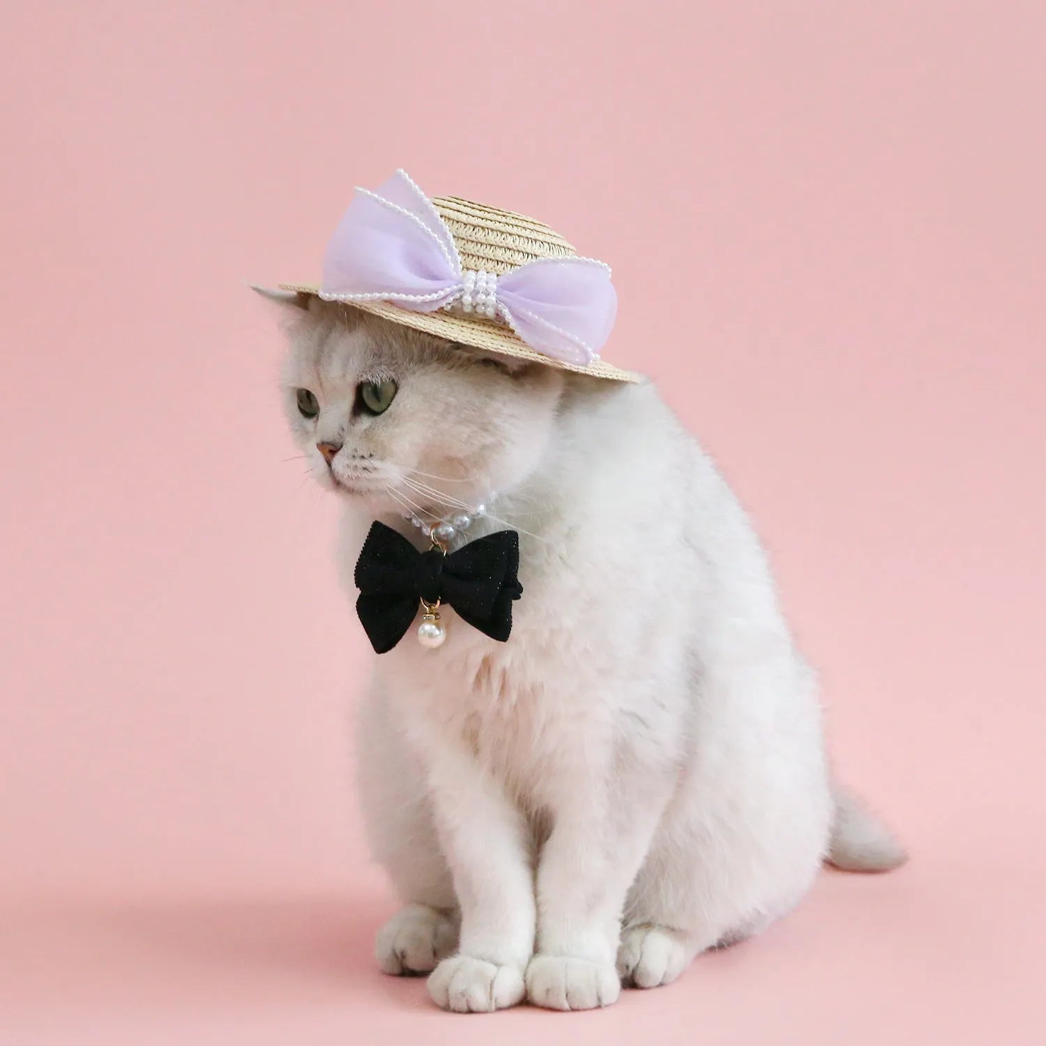 Woven straw hat for a cat with a pearl butterfly bow, shown in pink, purple, blue, or white colour options.