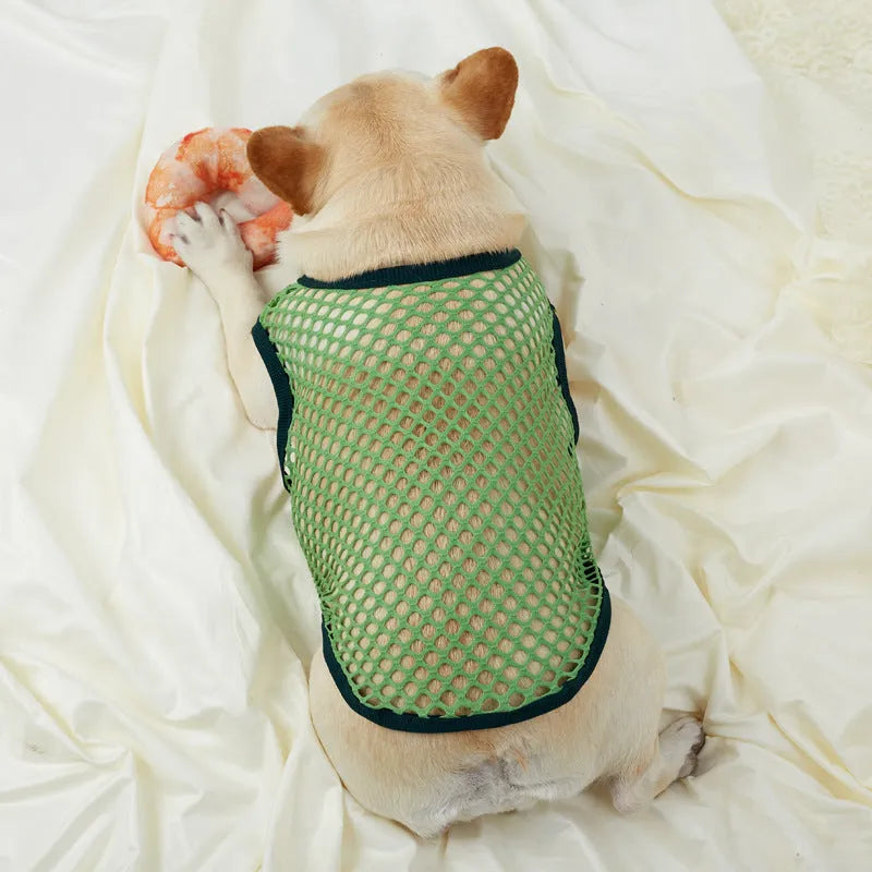 Hollow mesh dog vest in black with elastic large mesh fabric, side view on a dog