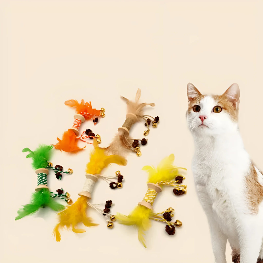 Feather bell gall fruit cat toy in ginger colour with bells and feathers on green background