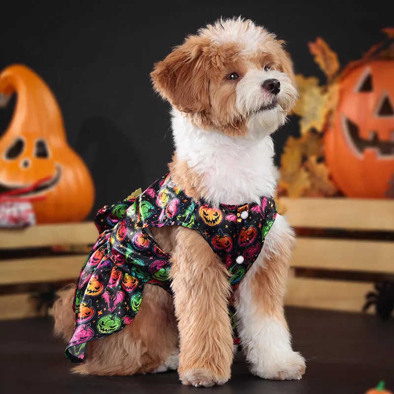 Halloween angel wings dog costume in bright pumpkin colour with polyester construction