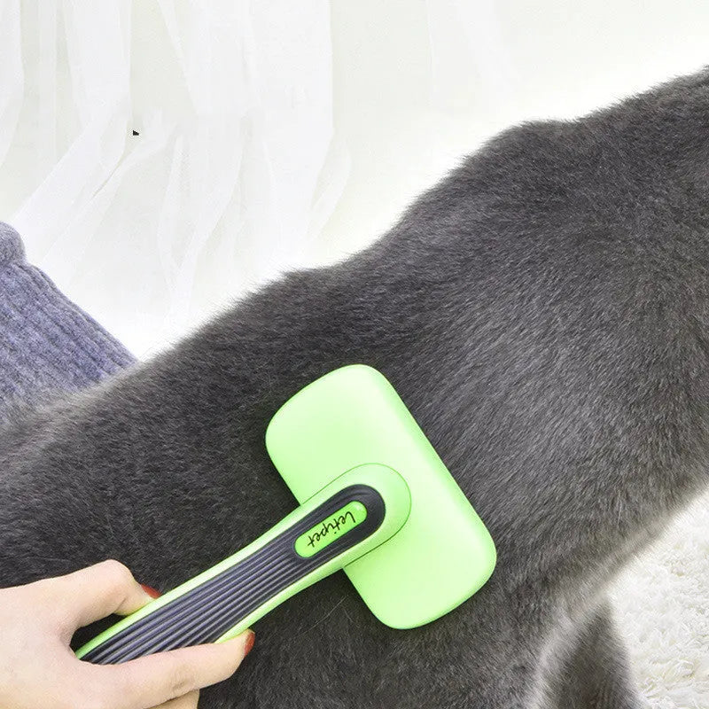 Fruit Green automatic pet hair removal brush with self-cleaning function for dog and cat grooming