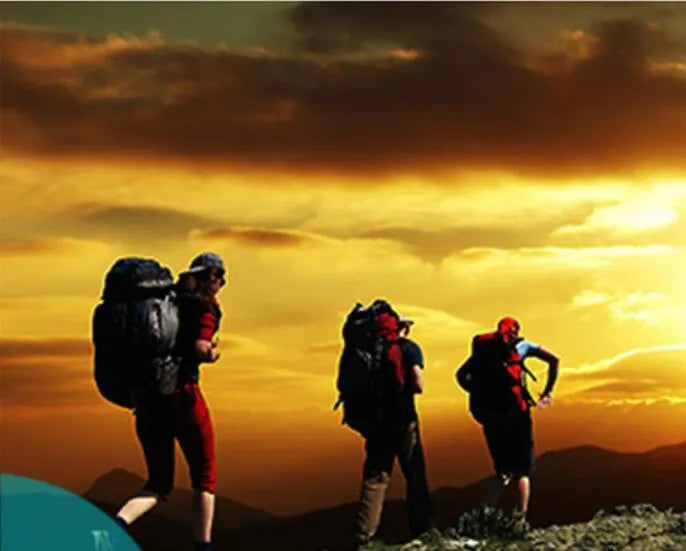 Aluminium alloy rechargeable headlamp with adjustable headband and bright Cree LED light.