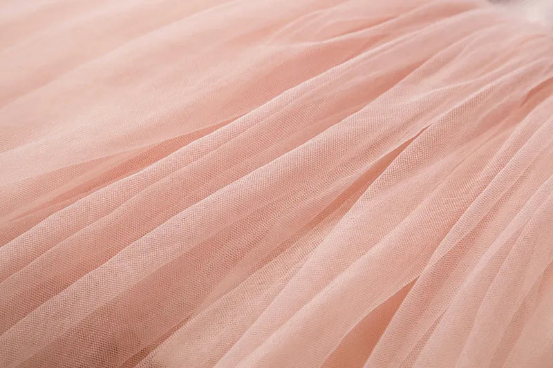 Baby girl wearing a long sleeve lace and tutu dress in pink, suitable for a birthday party.