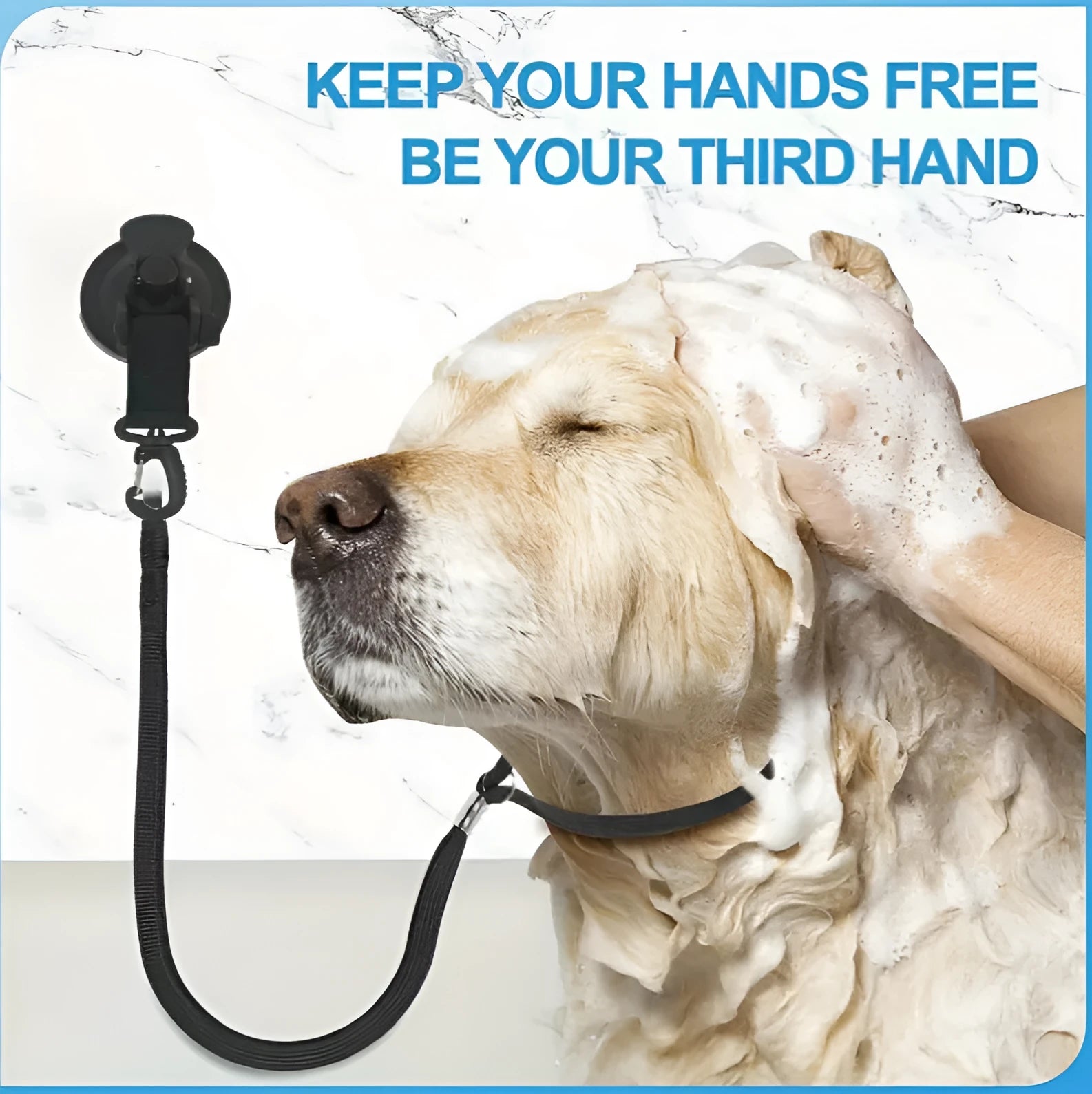 Pet bathing restraint suction cup handcuffs in black and blue with small and large suction cup sizes