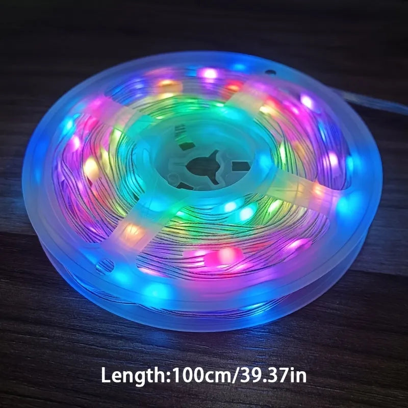 10 metre LED festival light string with 100 warm white bulbs and remote control