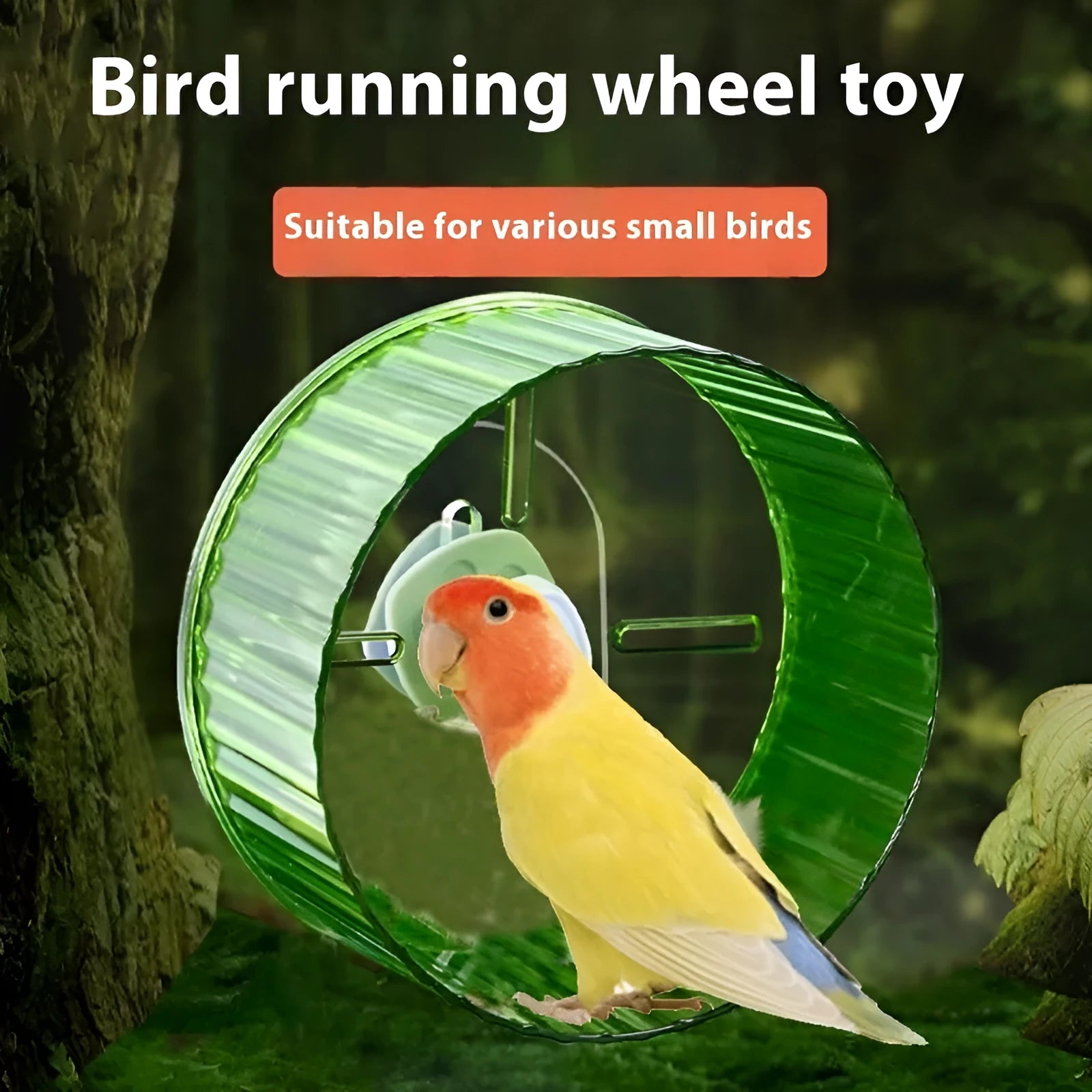 Parrot exercise running wheel toy in plastic with transparent, green, grey, orange, and purple colour options