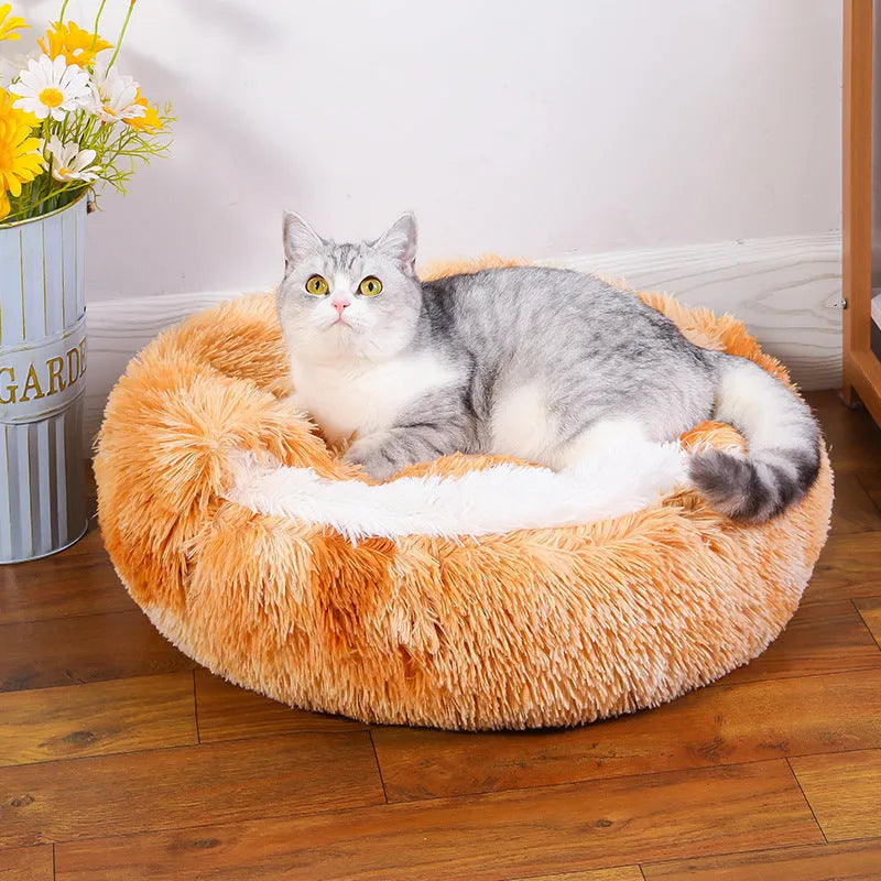 Waterproof dog kennel with semi-surrounded design in champagne colour showing sheltered interior space