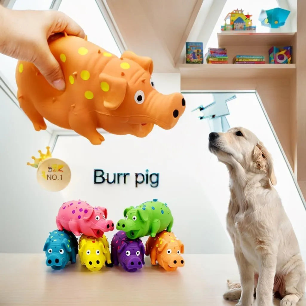 Blue latex pig-shaped dog chew toy with textured surface and squeaker
