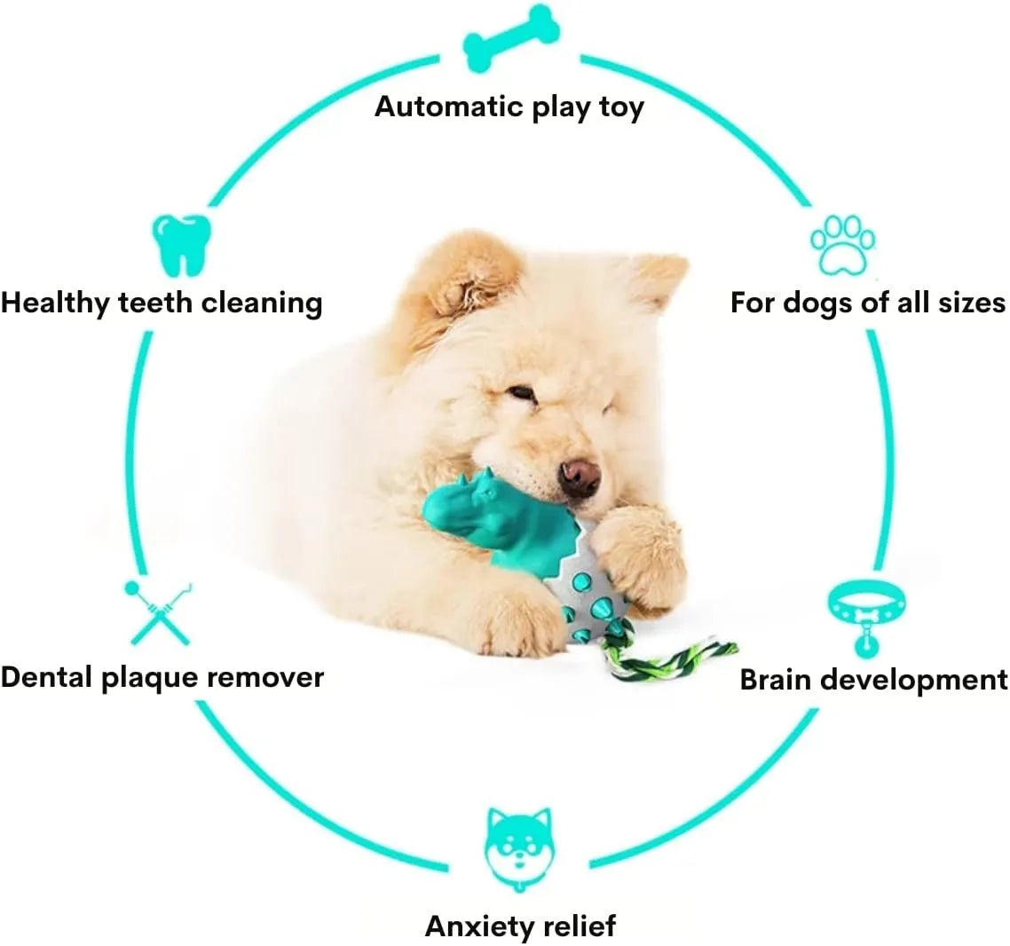 Blue dinosaur-shaped rubber dog chew toy with rope and textured cleaning nubs for aggressive chewers.