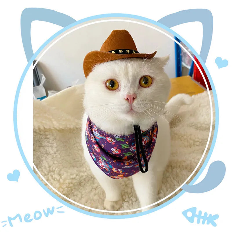 British cowboy hat for a cat with decorative velvet band or ribbon, shown in brown or black.