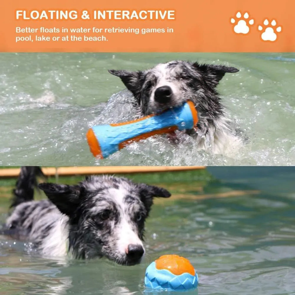 Set of three floating TPR dog toys: a blue ball, an orange barbell, and green tyres on a pool edge.