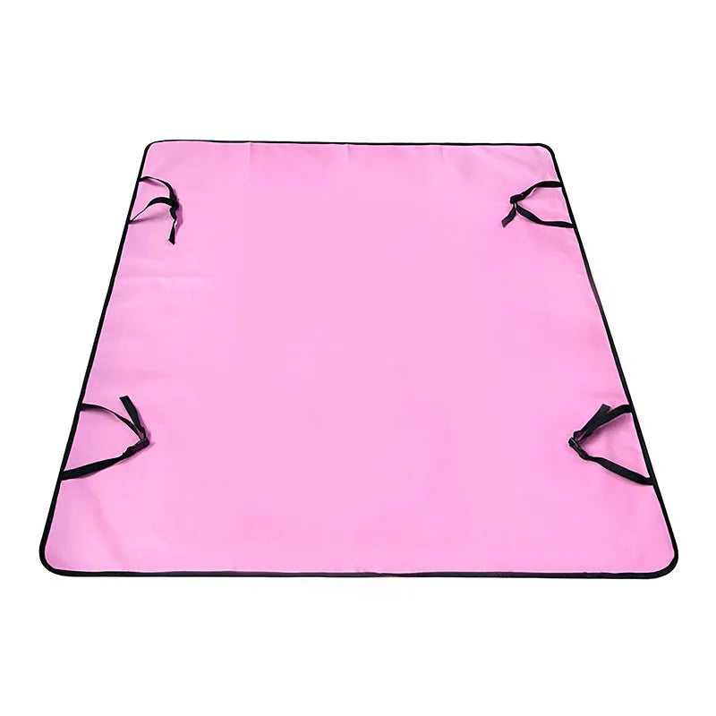 Washable cloth car pet mat for rear seat protection with dog bone print design.