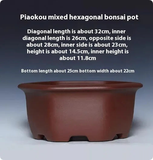 Square purple clay succulent bonsai pot with classical design showing clean lines and natural clay finish