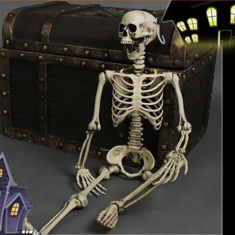 Full-size 170cm plastic skeleton prop showing detailed human skull and bone simulation