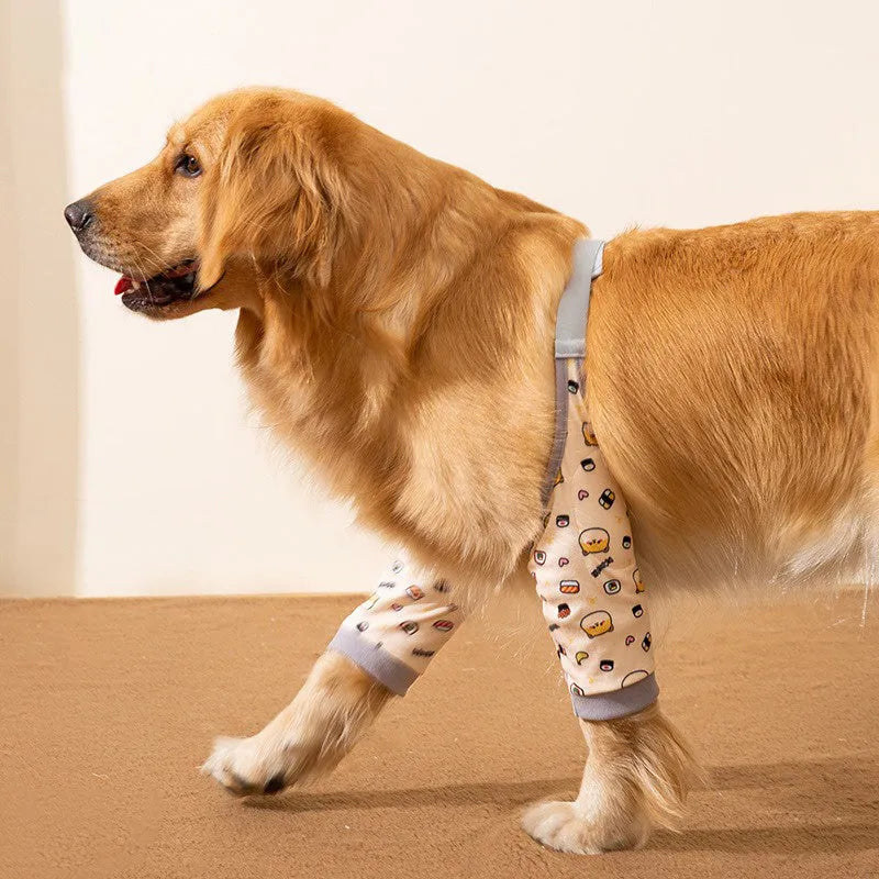 Blue dog knee protector with adjustable straps and matching scarf on medium-sized dog