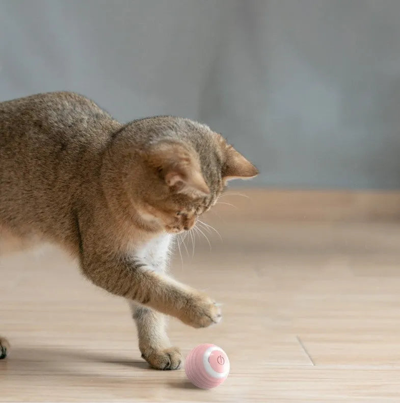 Blue automatic moving cat toy ball with USB charging cable on floor