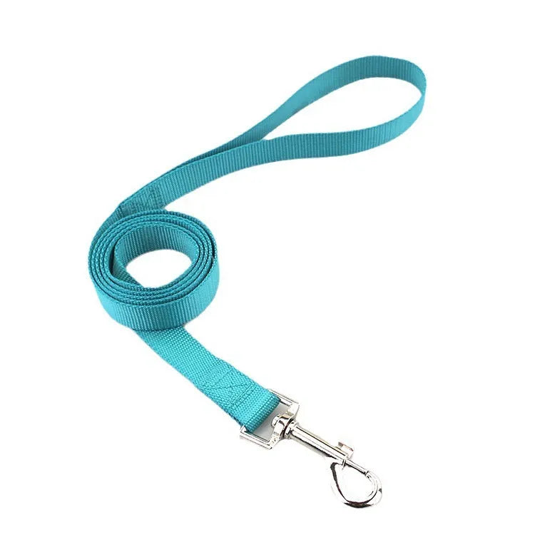Solid colour nylon dog hand-holding lead showing single-rope construction with clip attachment