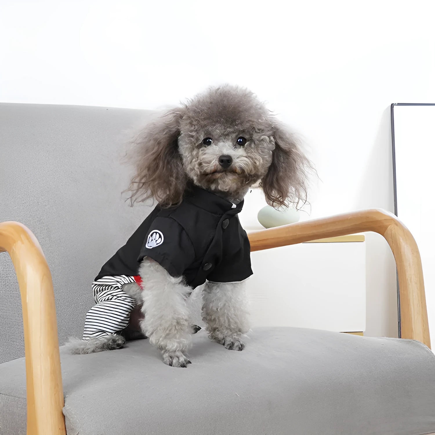 Seasonal poodle clothes in cotton skirt or four-legged pants styles available in sizes S to XL