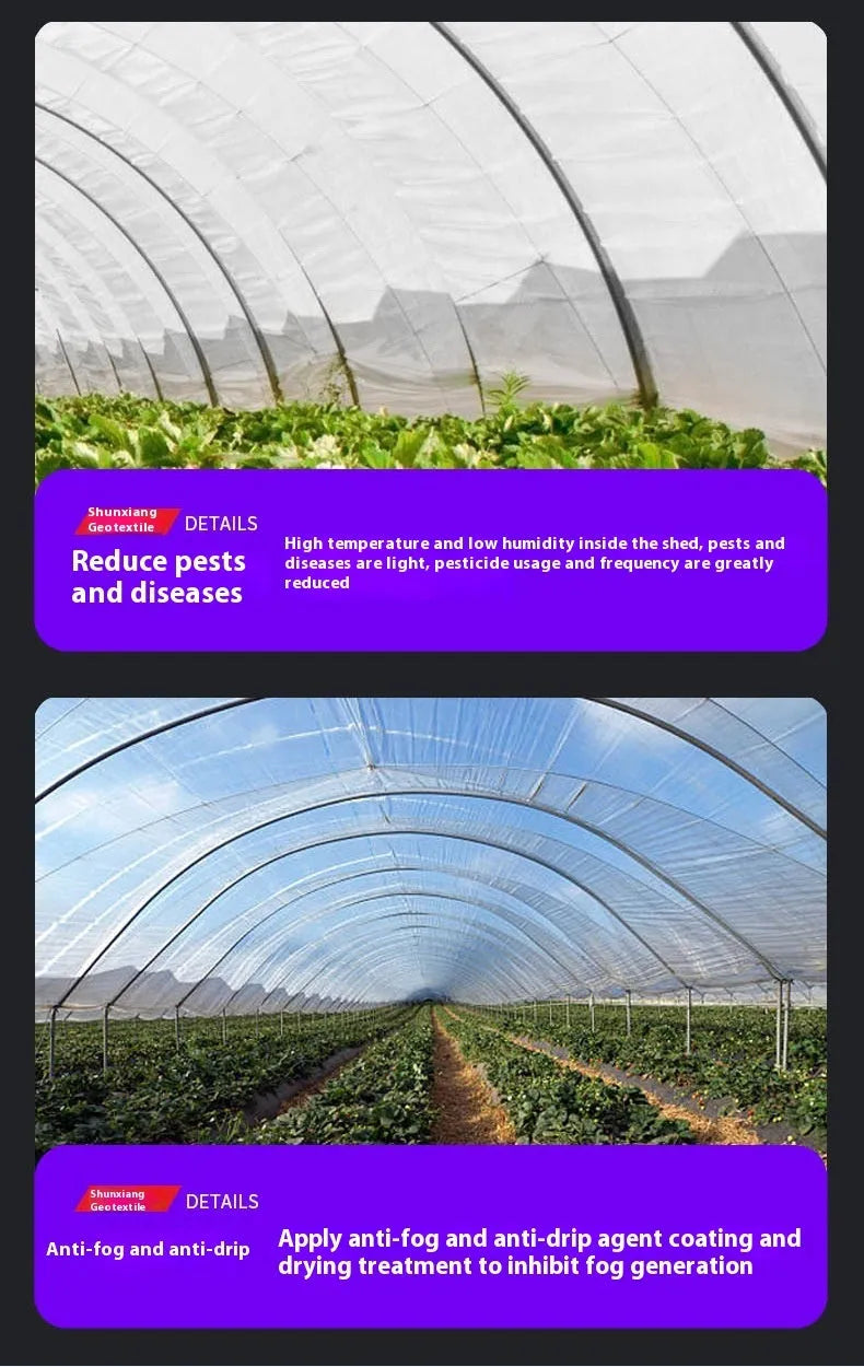 Roll of clear plastic greenhouse film for vegetable shed insulation, 4x8 metres