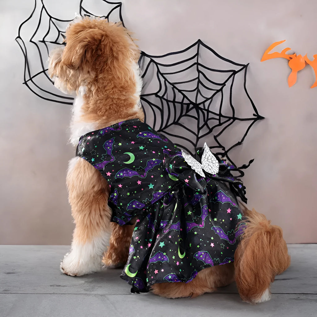 Halloween angel wings dog costume in bright pumpkin colour with polyester construction