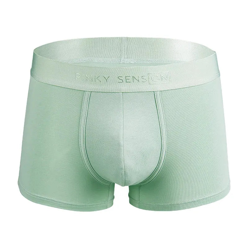 Men's solid colour cotton boxer shorts showing available black, white, silver grey, and light green options
