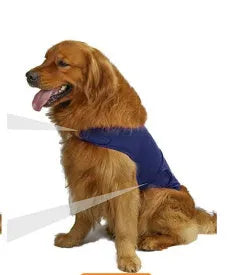 Dog wearing brown brocade cotton tank top designed for separation anxiety relief