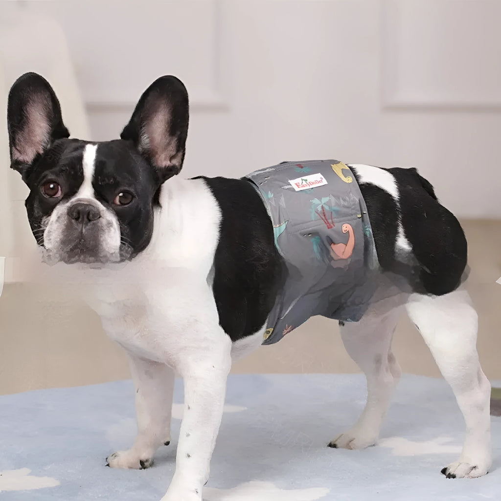 Washable polyester dog diaper pants in gray, size M, for female incontinence or heat