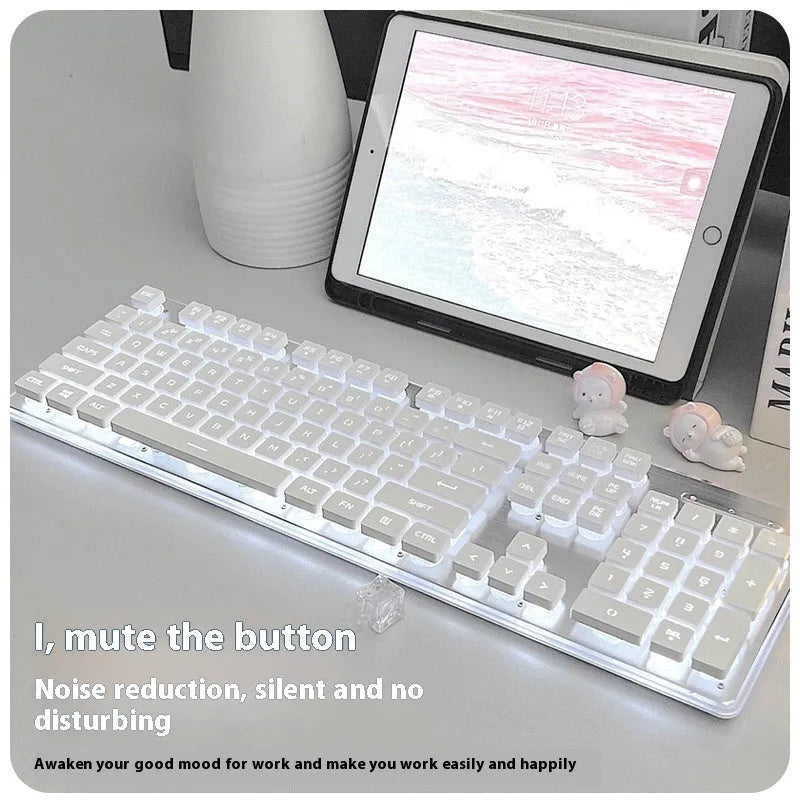 Wired mute mechanical-feel keyboard and gaming mouse combo set on a desk with blue backlighting