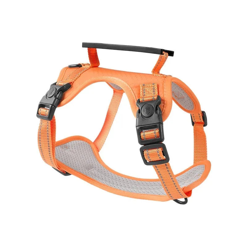 Polyester dog chest harness with attached leash in assorted colours on a white background.